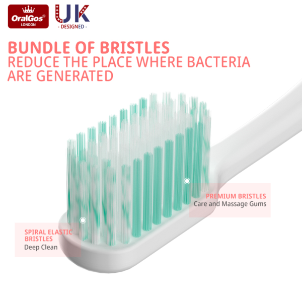 manual toothbrush for adults