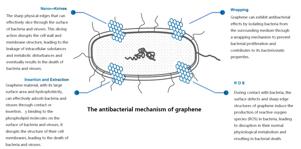graphene-antibacterial-principle