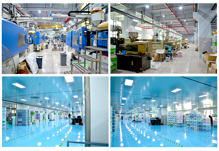 GMP-certified toothpaste manufacturing for OEM and B2B buyers