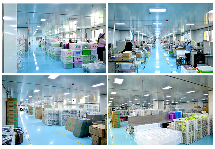 GMP-Certified Toothpaste Production Line – From Ingredients to Packaging