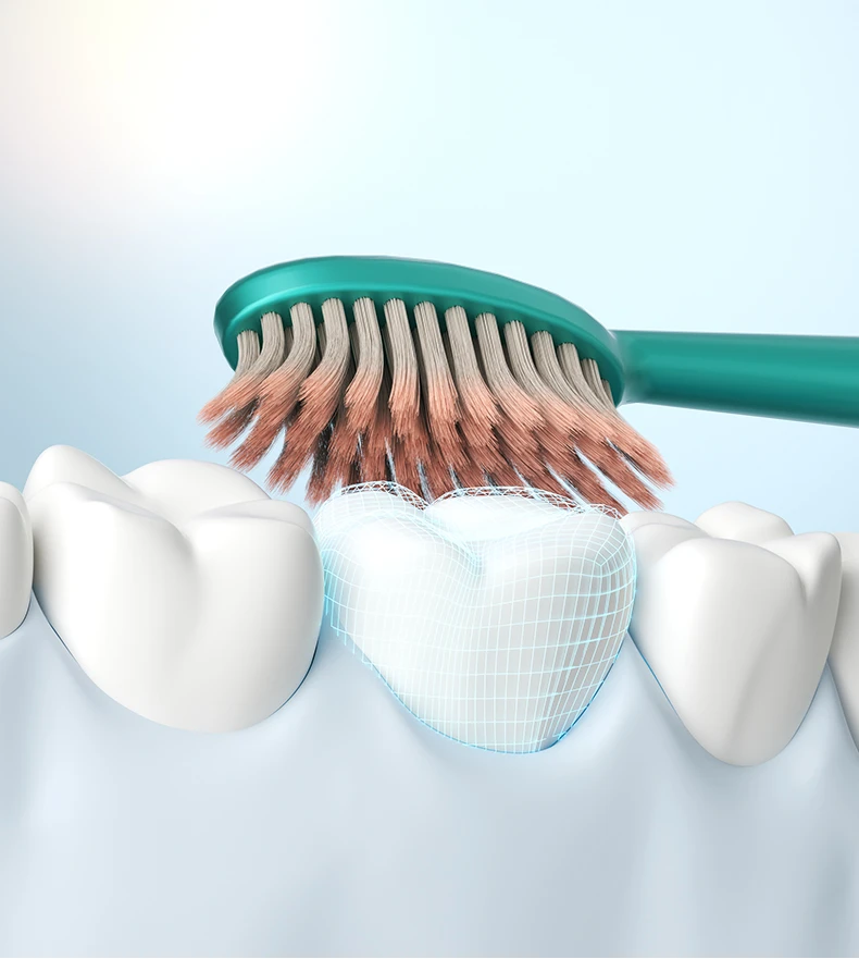 Sweetrip S293 Premium Wide-Head Toothbrush 