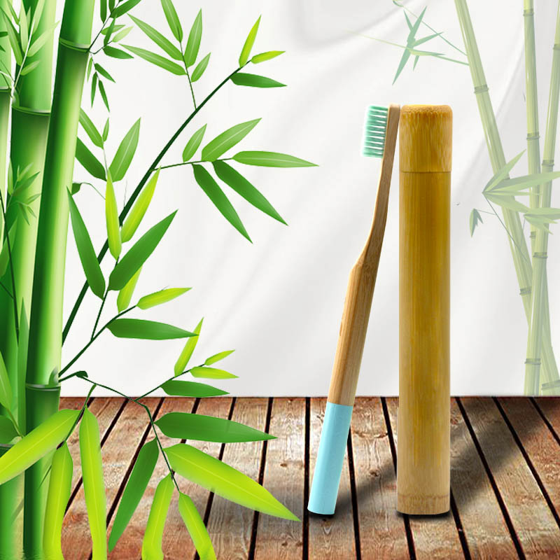 Toothbrush 