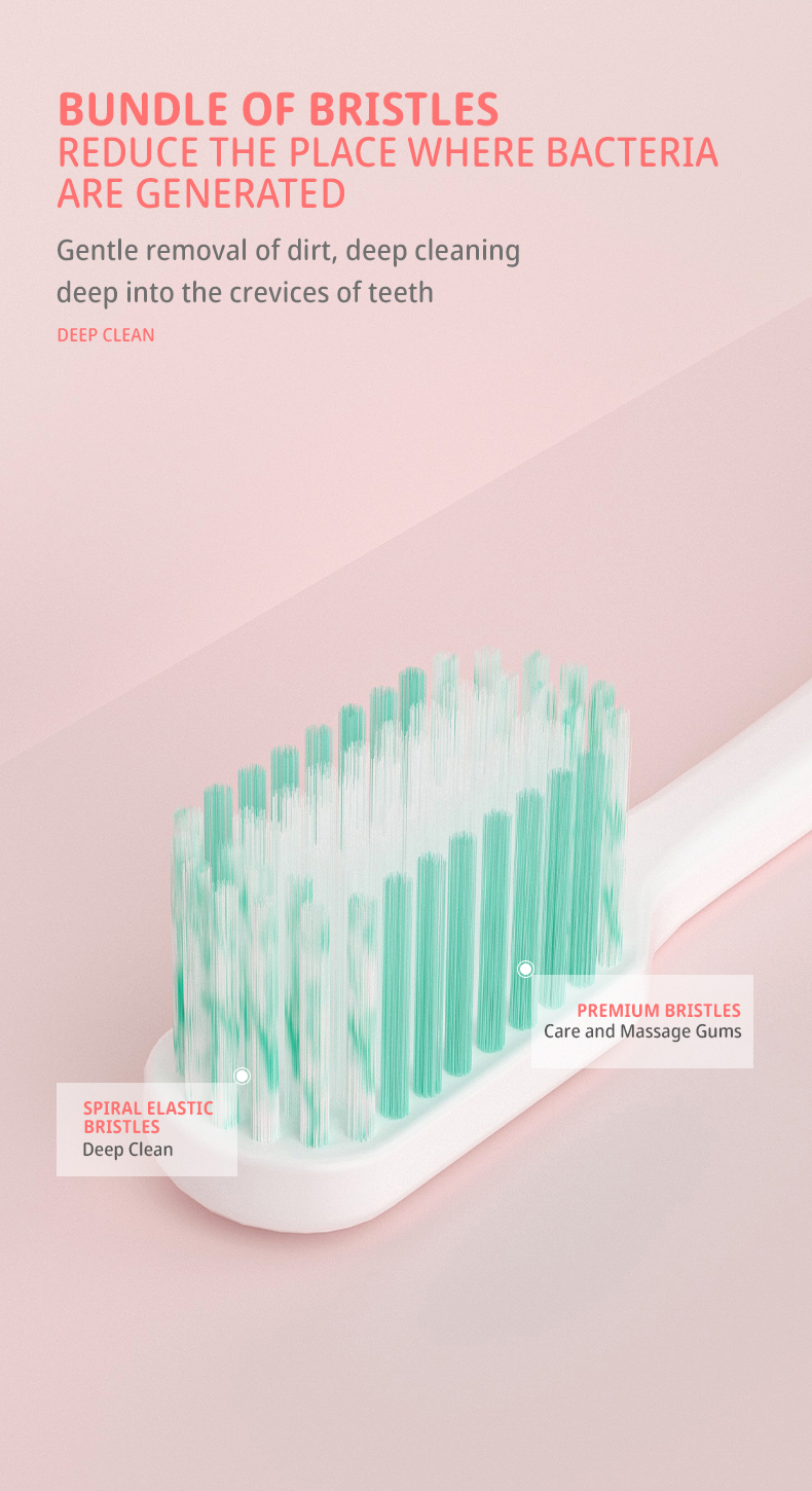 manual toothbrush for adults