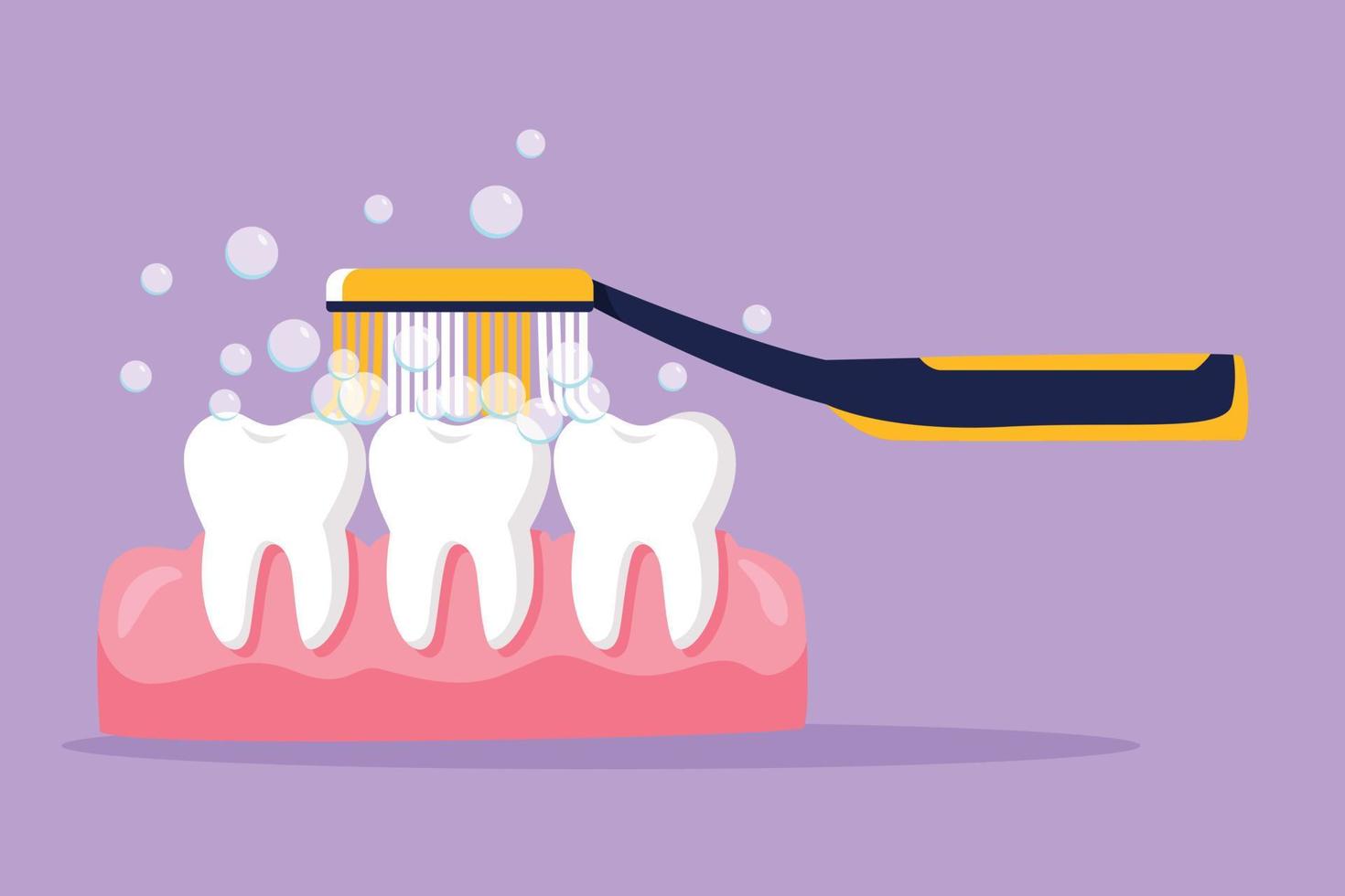 How to Brush Your Teeth Correctly: Key Steps for Oral Health - Oralgos