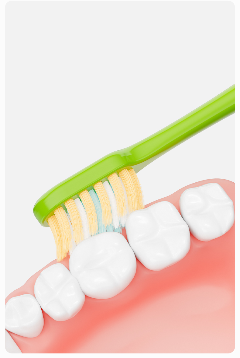 Dr. Baek 20102 Ultra‑Soft PBT Toothbrush Set