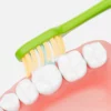 Dr. Baek 20102 Ultra‑Soft PBT Toothbrush Set – 12‑Pack Bulk (6×2 Retail Units)
