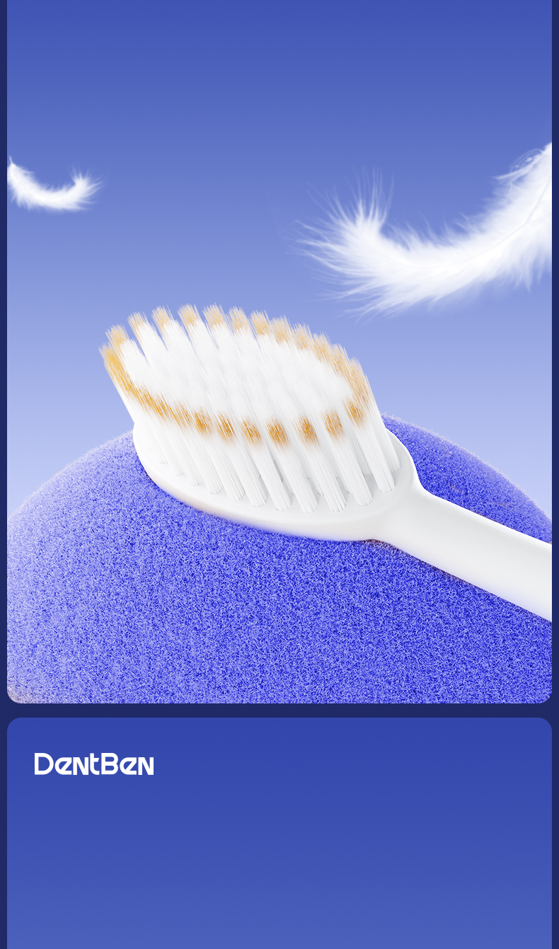 DentBen Ultra Soft Toothbrush Set