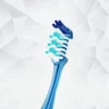 DentBen DB561 Cross-Angled Bristle Toothbrush 5 DentBen DB561 Cross-Angled Bristle Toothbrush
