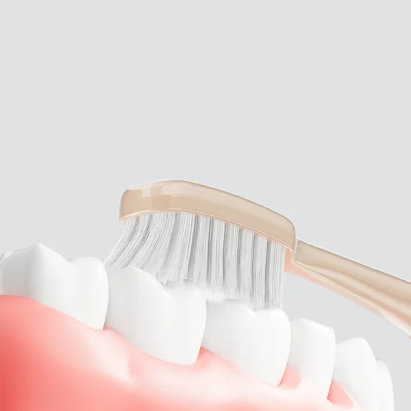 Toothbrush (4) Manual Toothbrush
