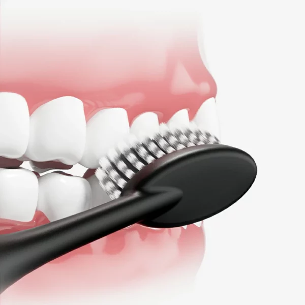 Bacteria Between Teeth Bacteria Between Teeth