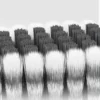 Toothbrush (9) Toothbrush