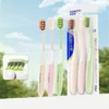 BPA-Free Adult Toothbrush (1) BPA-Free Adult Toothbrush
