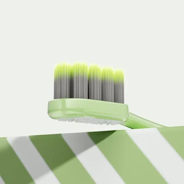 BPA-Free Adult Toothbrush (10) BPA-Free Adult Toothbrush