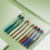 BPA-Free Adult Toothbrush (5) Sweetrip S295 Japan Top-Selling Colorful BPA-Free Adult Toothbrush
