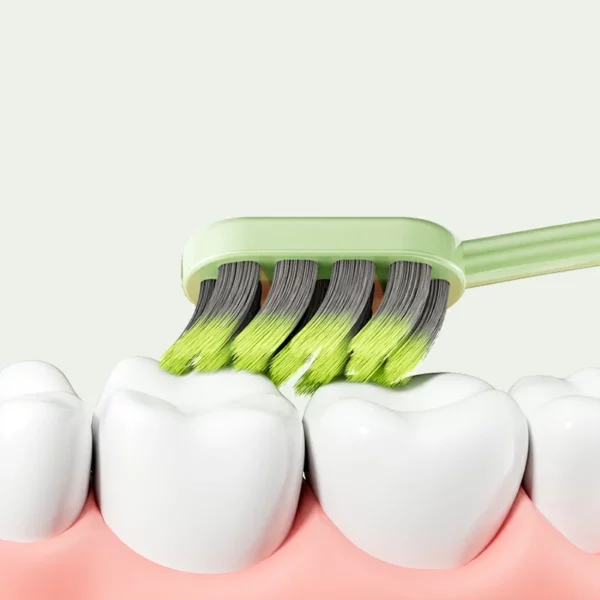 BPA-Free Adult Toothbrush (6) BPA-Free Adult Toothbrush