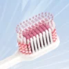 BPA-Free Extra Soft Toothbrush (4) New Style BPA-Free Extra Soft Toothbrush