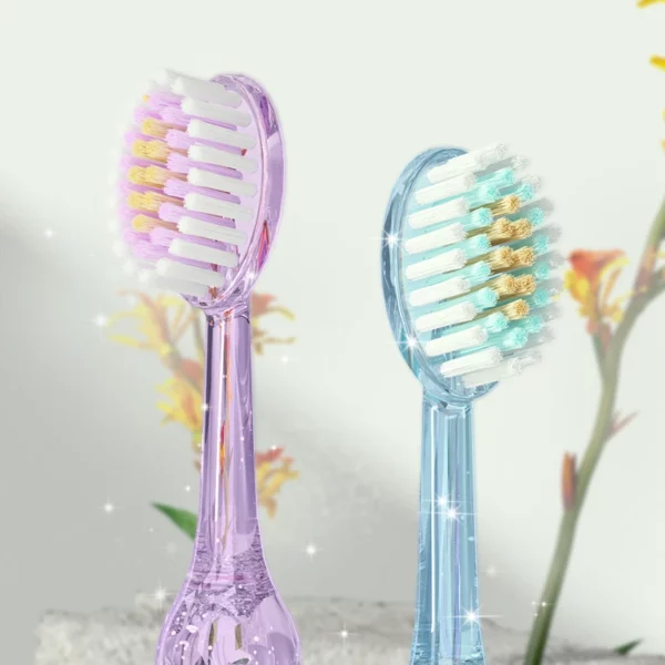 BPA-Free Toothbrush (6) High-Quality BPA-Free Toothbrush