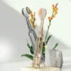 BPA-Free Toothbrush (8) High-Quality BPA-Free Toothbrush