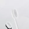 BPA-Free Toothbrush for Home Use (3) BPA-Free Toothbrush for Home Use