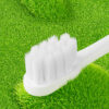 Cartoon Shape Toothbrush (2) Dr.Baek KR046 Cute Cartoon Shape Design Toothbrush
