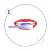 Long Head Arc-Shaped Toothbrush