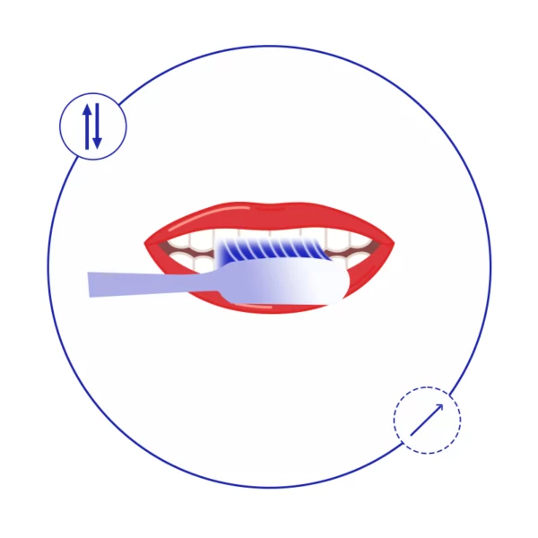 Long Head Arc-Shaped Toothbrush
