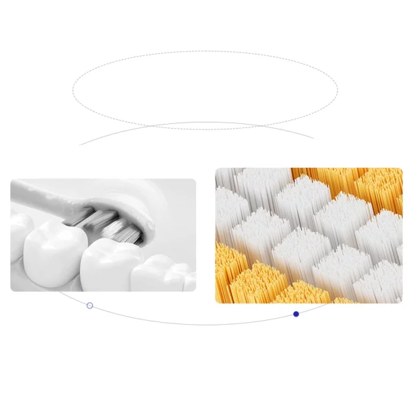 BANNER BN-XA025 Scientific Custom Long Head Arc-Shaped Toothbrush