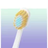 Triple Toothbrush Family Set