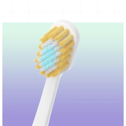 Triple Toothbrush Family Set