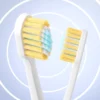 Triple Toothbrush Family Set
