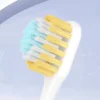 Triple Toothbrush Family Set