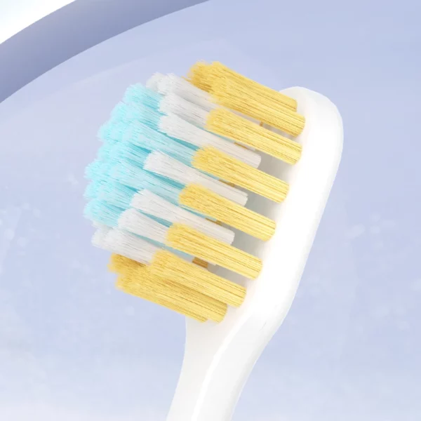 Triple Toothbrush Family Set