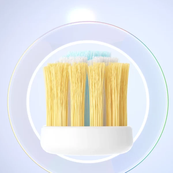 Triple Toothbrush Family Set