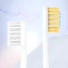 Triple Toothbrush Family Set