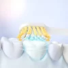 Triple Toothbrush Family Set