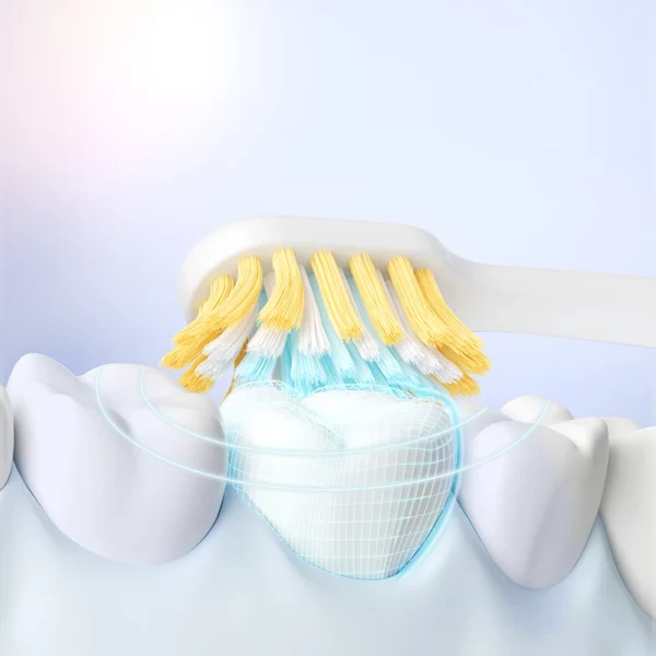 Triple Toothbrush Family Set