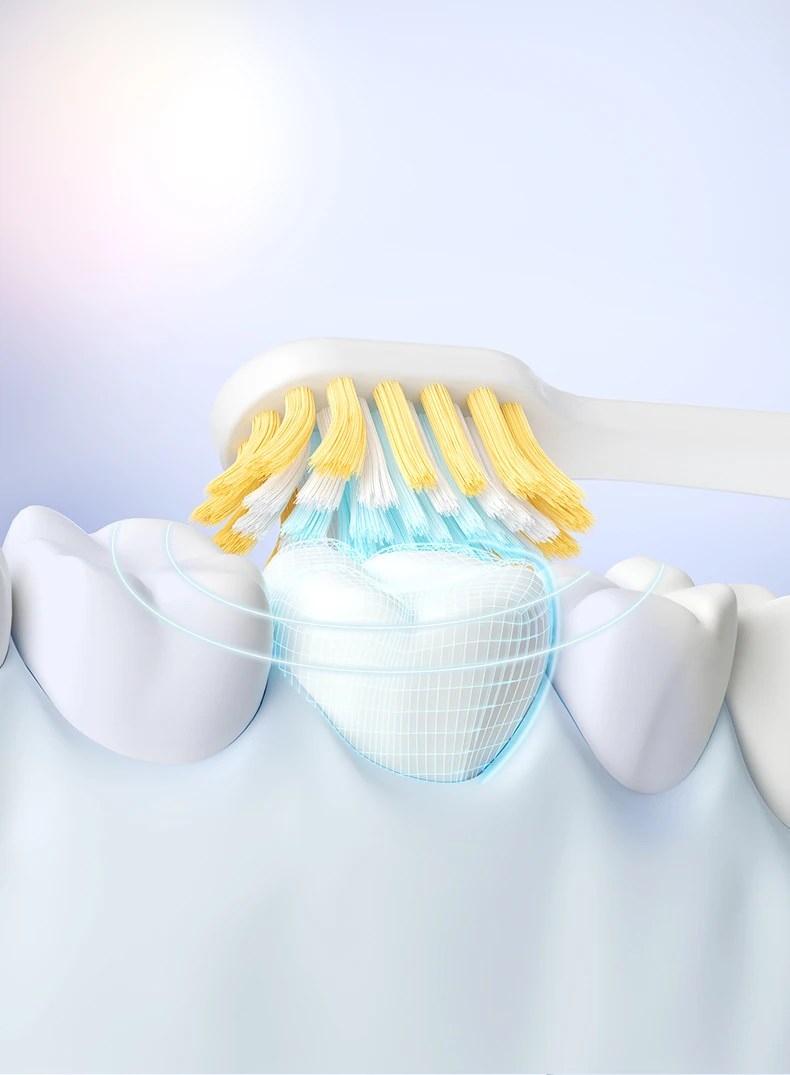 Triple Toothbrush Family Set