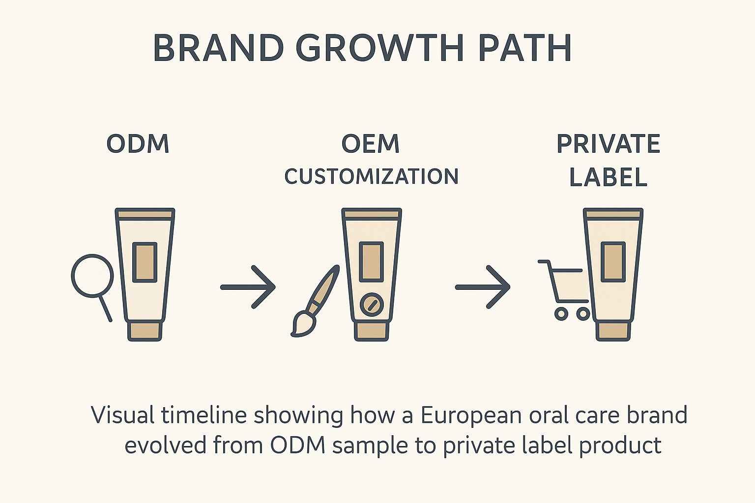 Visual timeline showing how a European oral care brand evolved from ODM sample to private label product.
