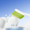 BPA-Free Plastic Toothbrush (3) BPA-Free Plastic Toothbrush