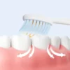 BPA-Free Plastic Toothbrush (6) BPA-Free Plastic Toothbrush