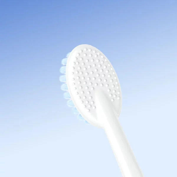 BPA-Free Plastic Toothbrush (7) BPA-Free Plastic Toothbrush
