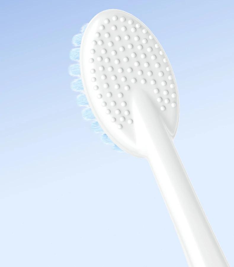 Colorful BPA‑Free Plastic Toothbrush