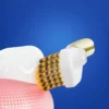 Custom Logo Gold Handle Replaceable Brush Head Toothbrush