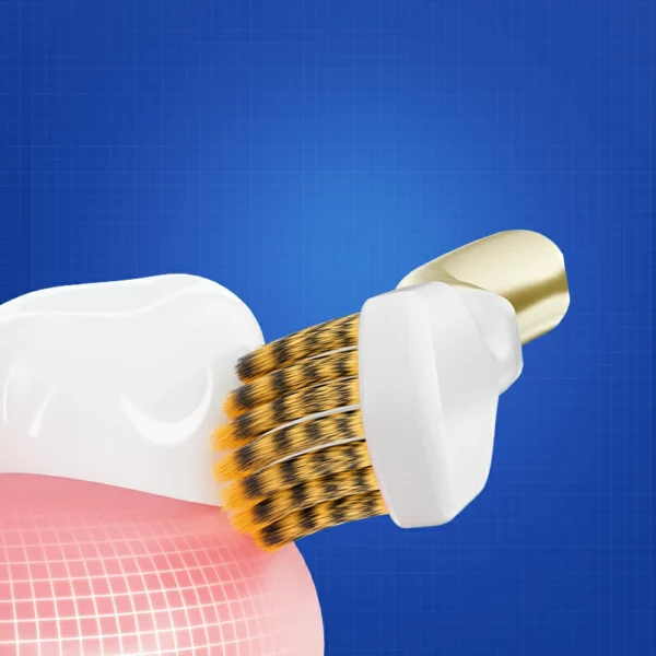Custom Logo Gold Handle Replaceable Brush Head Toothbrush