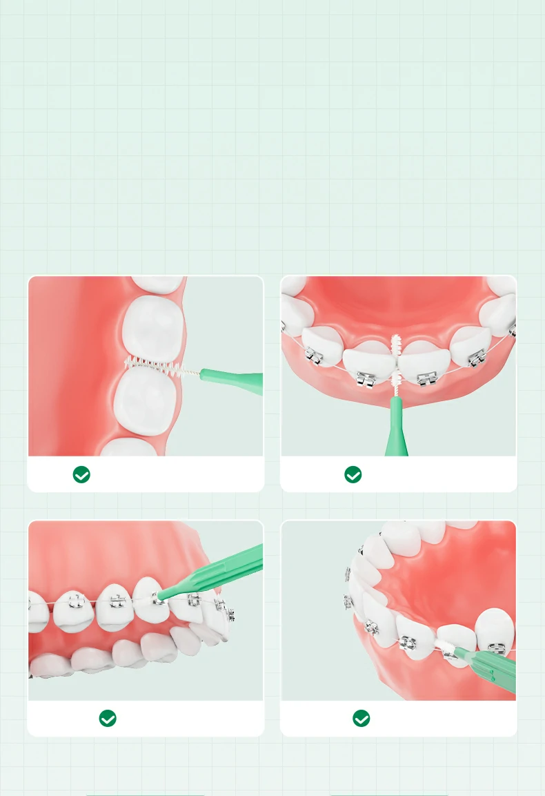 Interdental Brushes