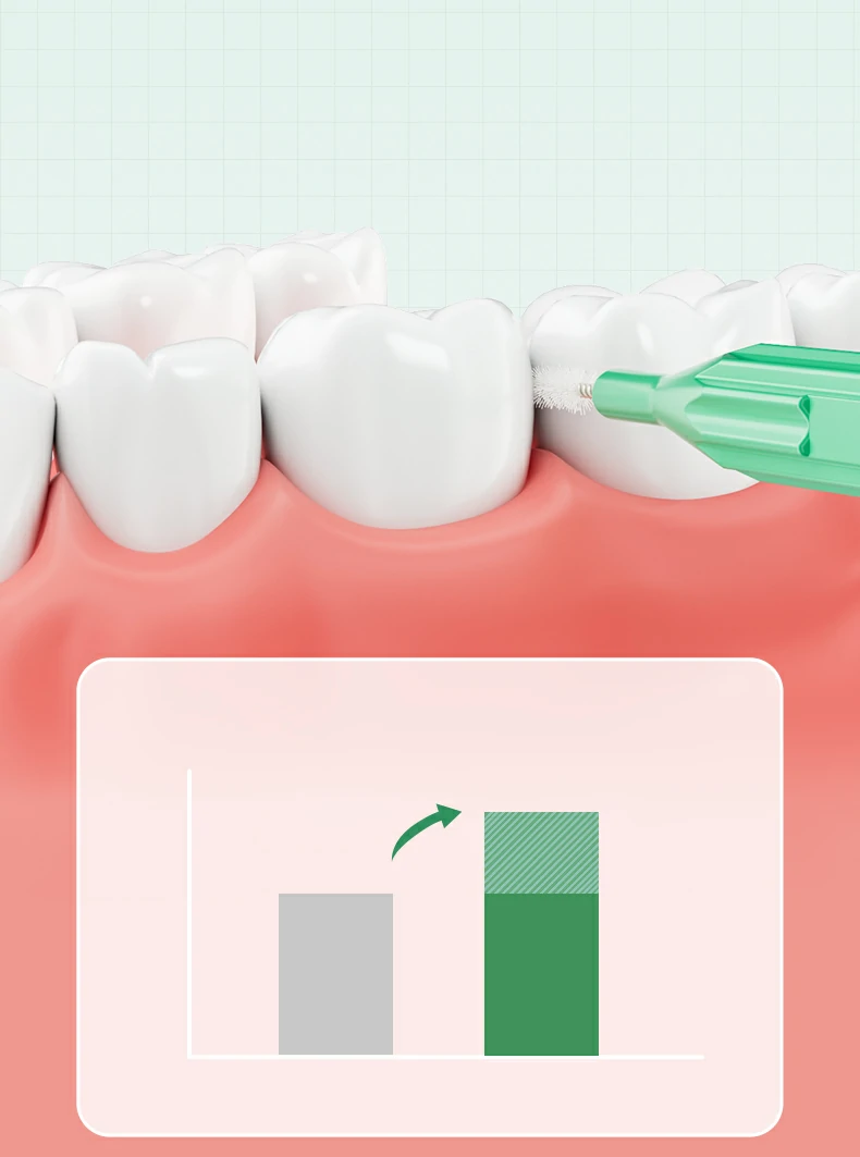 Interdental Brushes