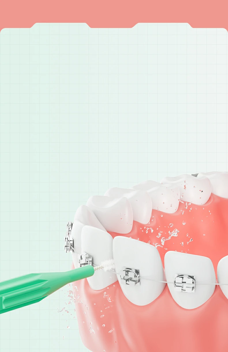 Interdental Brushes