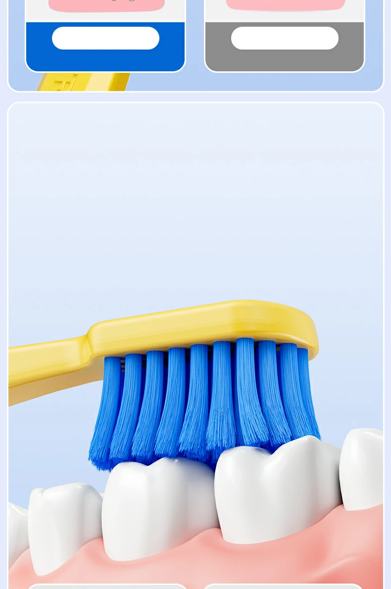 Private Label Toothbrush