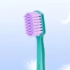 Private Label Toothbrush (8) Private Label Toothbrush