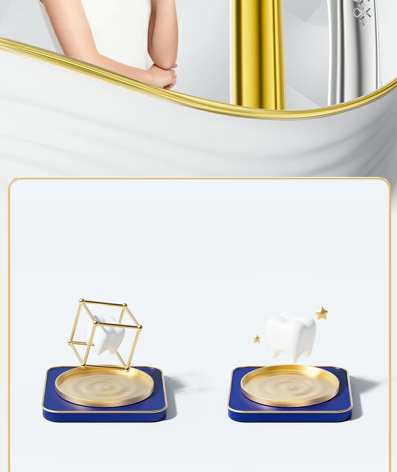 Custom Logo Gold Handle Replaceable Brush Head Toothbrush